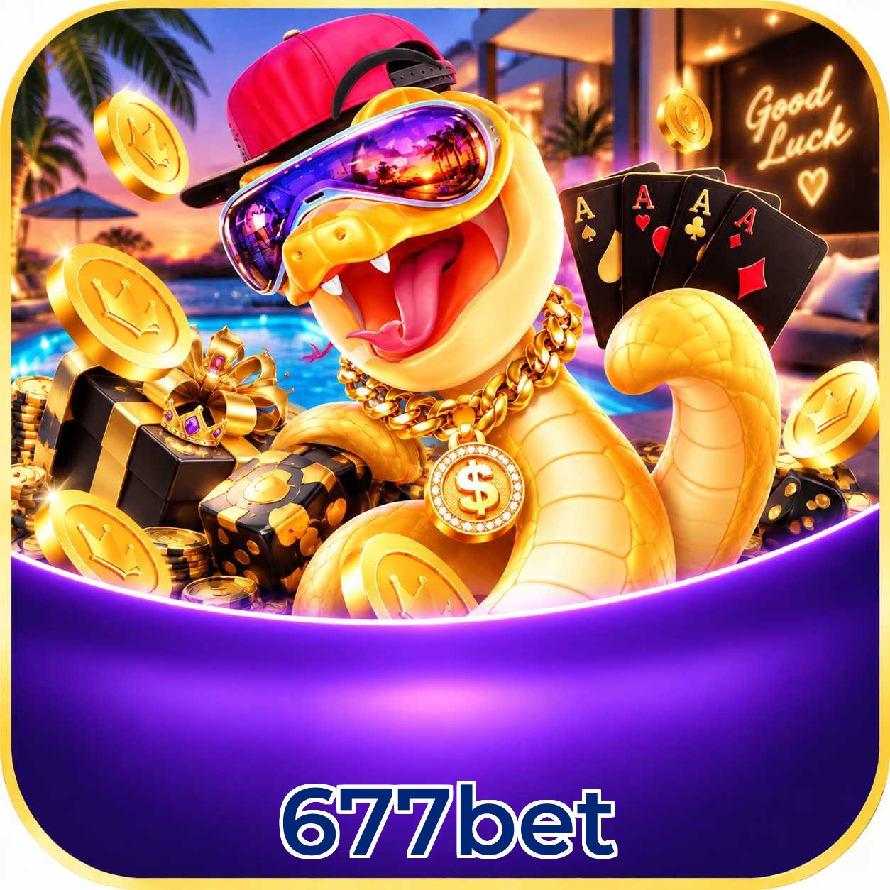 Servidor Brasil 677bet